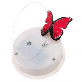Декоративная бабочка в банке